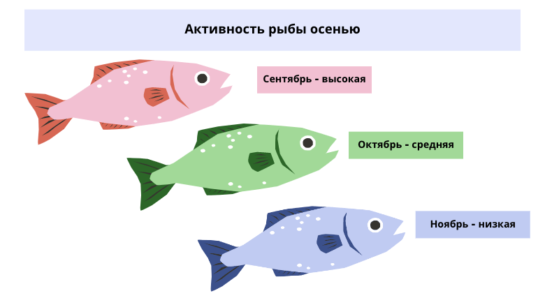Активность рыбы осенью.png